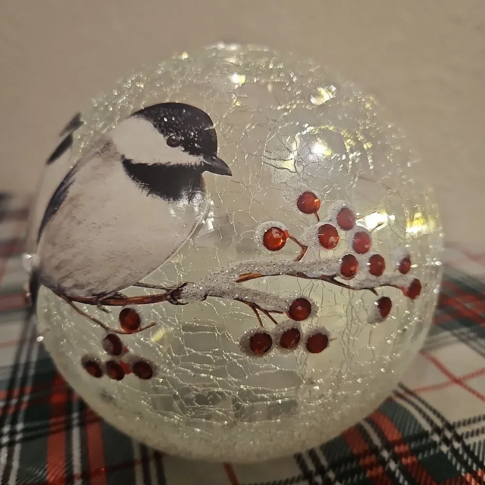 Crackle Glass Decorative Birds & Berries LED Lighted Holiday Globe Decor